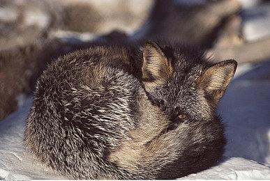 《诸神战纪》今日正式上线！首周8折！爽快肉鸽，重拾回忆！